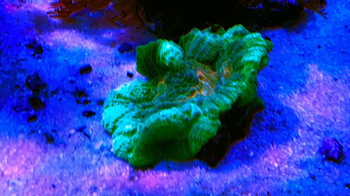 IMG_3691.jpeg