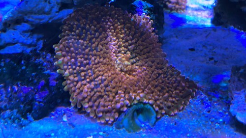 IMG_3690.jpeg