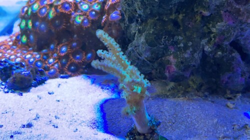IMG_3679.jpeg