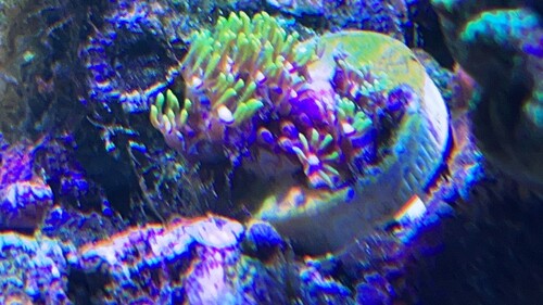 IMG_3678.jpeg