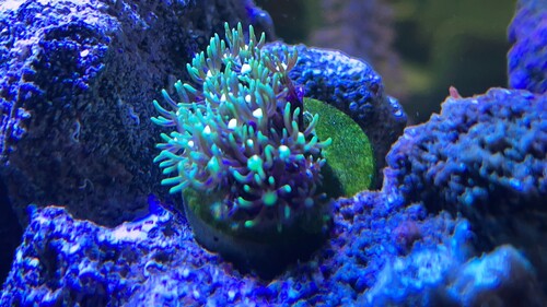 IMG_3676.jpeg
