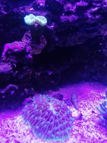IMG_20231126_225653.jpg