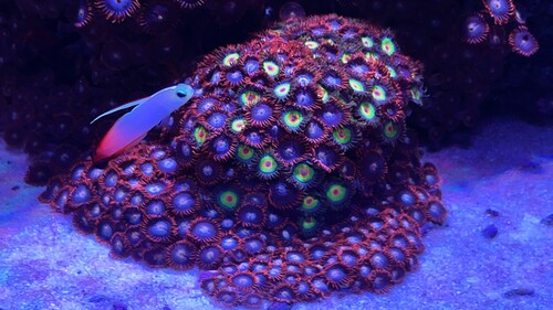 IMG_3814.jpeg