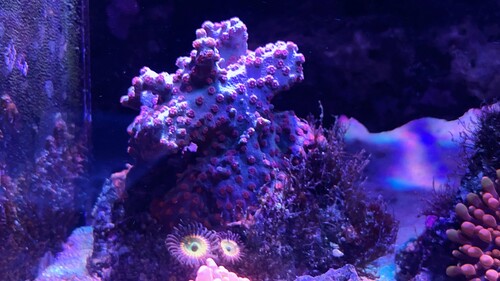 IMG_3807.jpeg