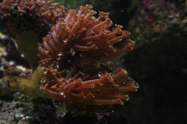 200 liters 005 (Small).jpg