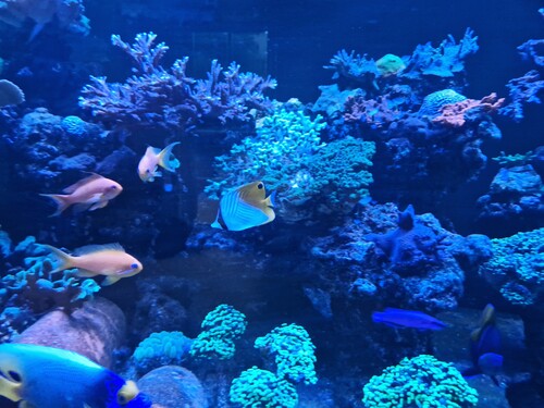 20231224_101554.jpg