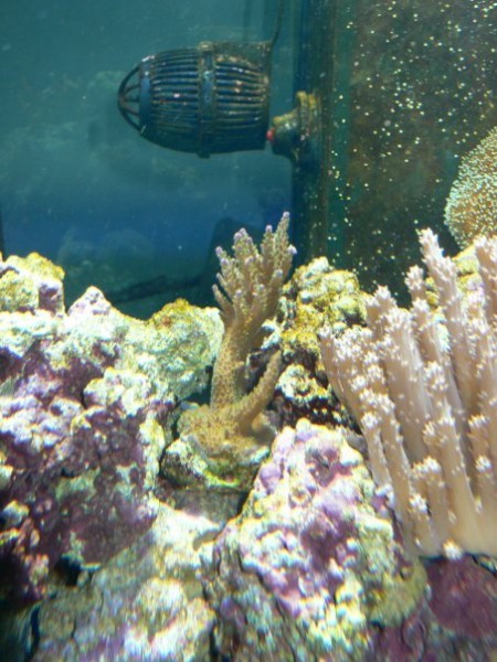 n539379100_500293_2849.jpg