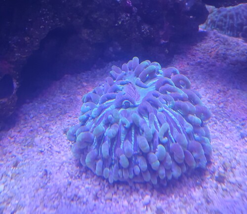 20240108_174616.jpg