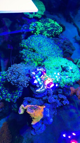 IMG_4056.jpeg