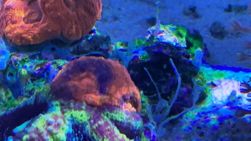 IMG_4032.jpeg