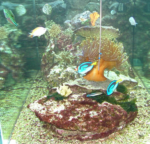 DSCF2064.JPG