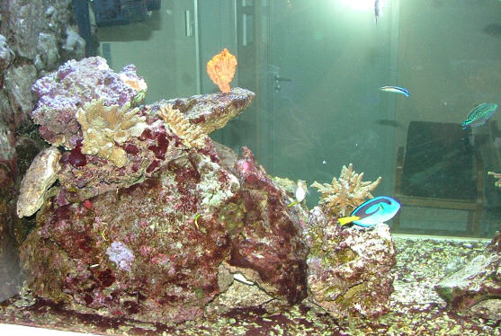 DSCF2052.JPG
