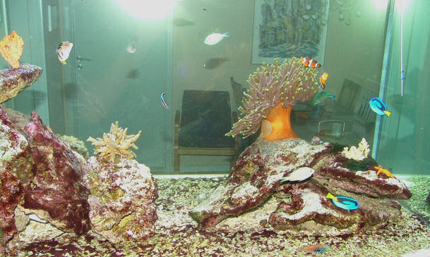 DSCF2053.JPG