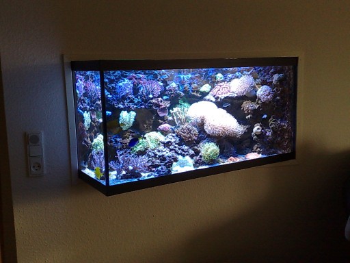 21062008147 [50%].jpg