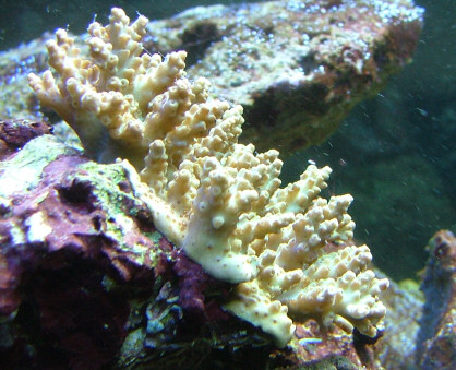 DSCF2055.JPG