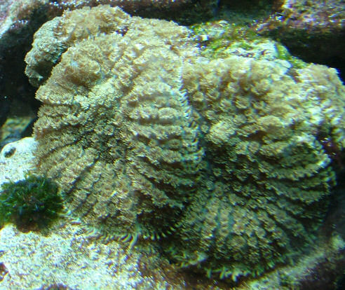 DSCF2061.JPG