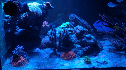 IMG_4323.jpeg