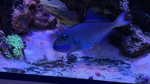 IMG_4409.jpeg