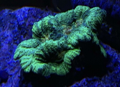 IMG_4398.jpeg