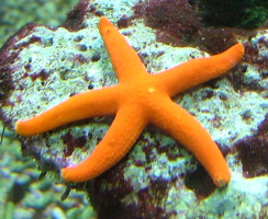 DSCF2060.JPG