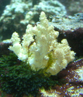 DSCF2059.JPG
