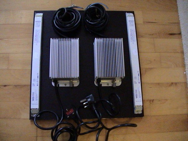 L3.JPG