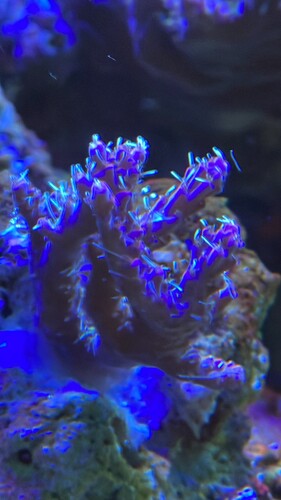 IMG_3413.jpeg