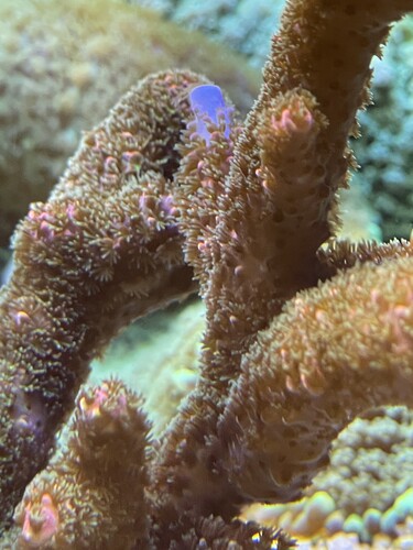 IMG_3433.jpeg