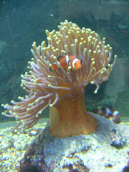 DSCF2058.JPG