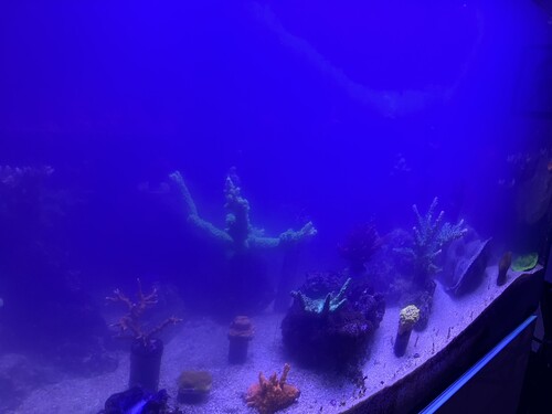 IMG_1833.jpeg
