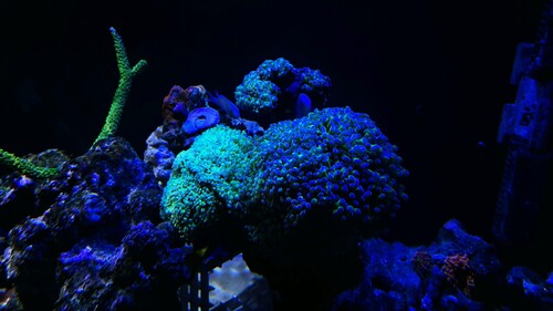 IMG_4653.jpeg