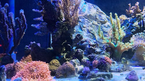 IMG_4640.jpeg