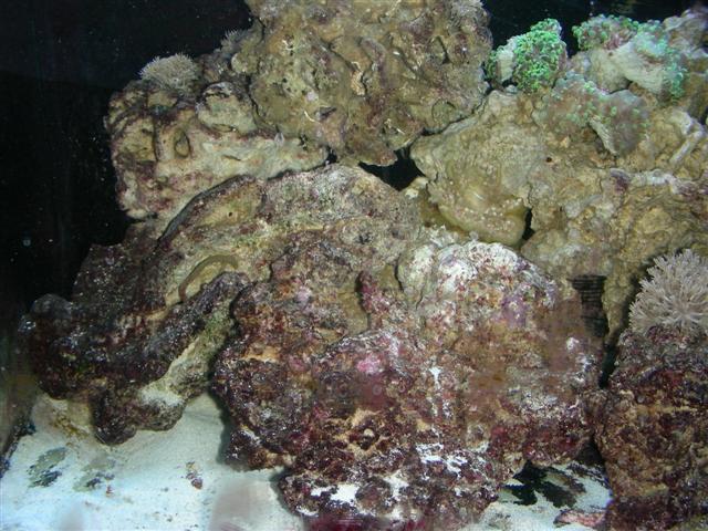 30juni08 001 (Small).jpg