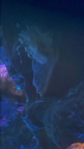 IMG_3650.jpeg