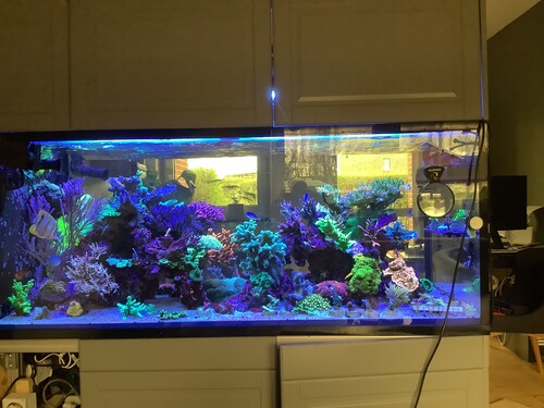 image.jpg (2.89 MiB) Vist 5133 gange No Big fish