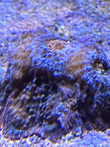 IMG_1896.jpeg