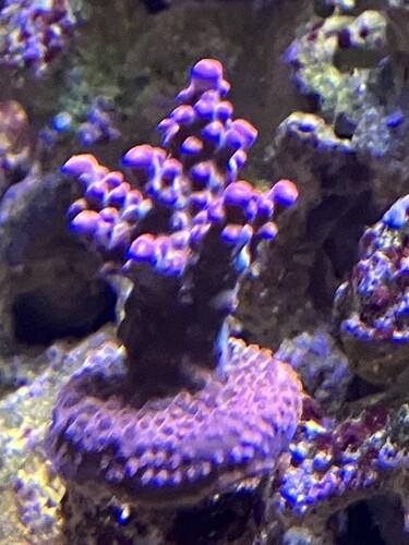 IMG_1884.jpeg