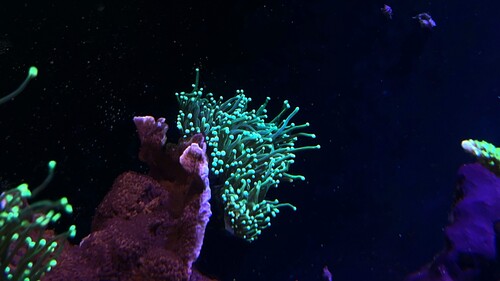 IMG_5033.jpeg