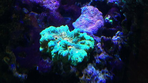 IMG_5048.jpeg