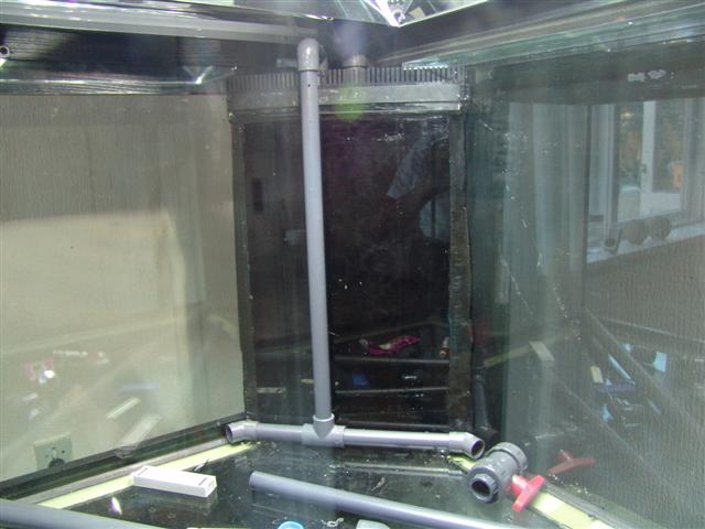 DSC05327 (Small).JPG