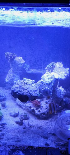 20240618_185255.jpg