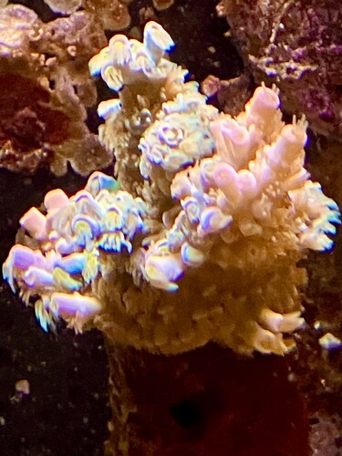 IMG_1947.jpeg