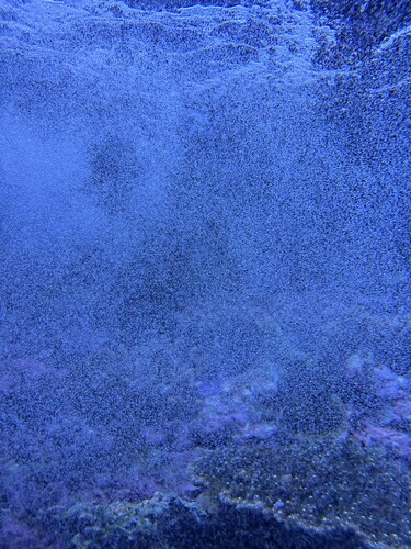 IMG_2282.jpeg
