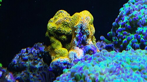 IMG_5435.jpeg