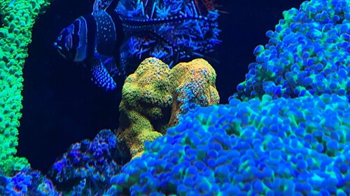 IMG_5508.jpeg