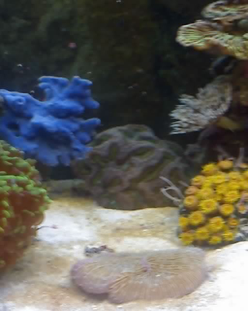 06-07-08_1749.jpg