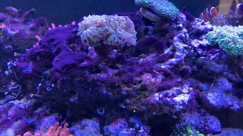 IMG_4183.jpeg
