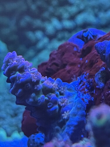 IMG_3924.jpeg
