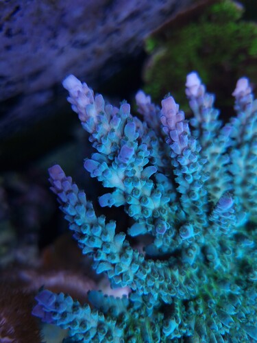 20240731_130548.jpg