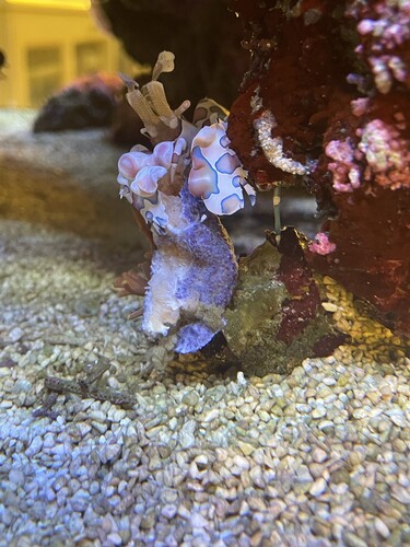 IMG_3927.jpeg